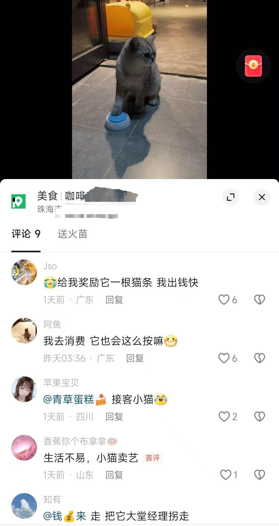 顾客广东一咖啡店“迎宾猫”火了CQ9电子专用平台会按铃招揽(图4)