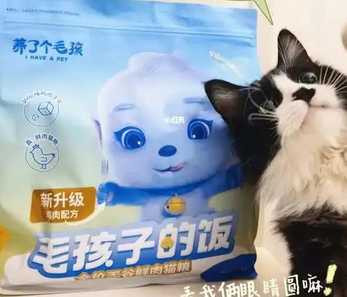 口粮！三只松鼠靠什么重返宠物食品赛道CQ9电子登录注册零食巨头盯上毛孩子(图2)