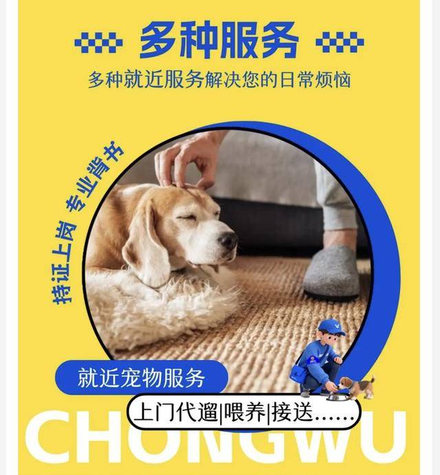 上门喂养需求旺盛春节宠物经济火爆CQ9电子登录“毛孩子”享年味！