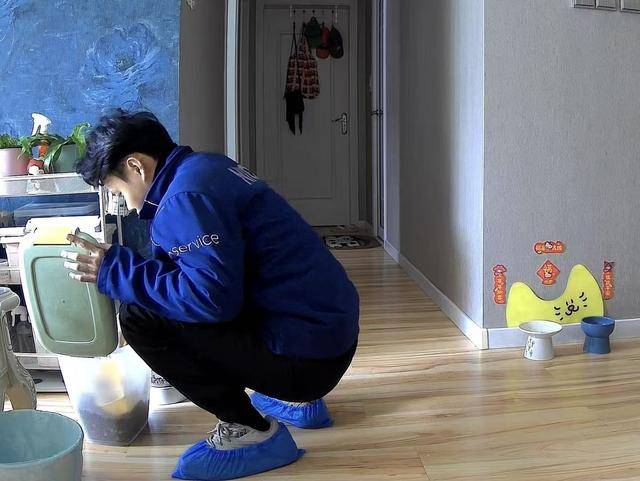 上门喂养需求旺盛春节宠物经济火爆CQ9电子登录“毛孩子”享年味！(图3)